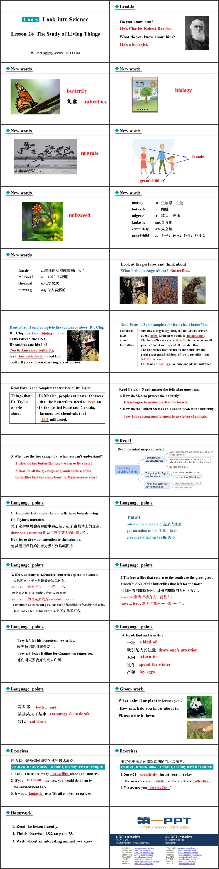 图片[2]-《The Study of Living Things》Look into Science! PPT精品课件-第一PPT