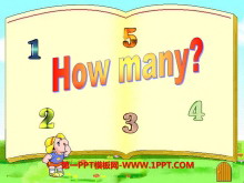 《How many?》PPT课件2-第一PPT