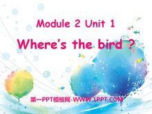 《Where’s the bird?》PPT课件4-第一PPT
