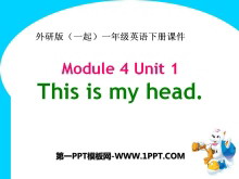 《This is my head》PPT课件2-第一PPT