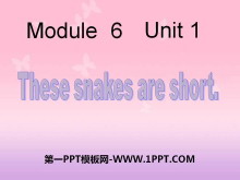 《These snakes are short》PPT课件-第一PPT