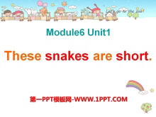 《These snakes are short》PPT课件5-第一PPT