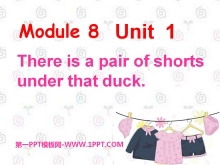 《There’s a pair of shorts under that duck》PPT课件-第一PPT