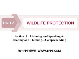 《Wildlife Protection》SectionⅠ PPT-第一PPT
