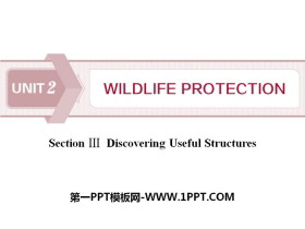 《Wildlife Protection》SectionⅢ PPT-第一PPT