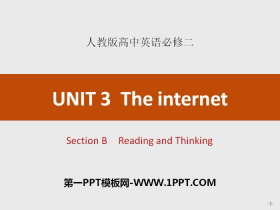 《The internet》Section B PPT-第一PPT