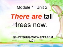 《There are tall trees now》PPT课件2-第一PPT