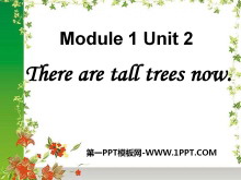 《There are tall trees now》PPT课件4-第一PPT