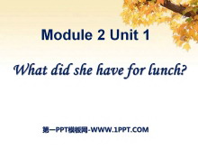 《What did she have for lunch?》PPT课件-第一PPT