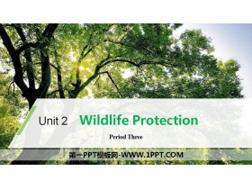 《Wildlife Protection》Period Three PPT-第一PPT