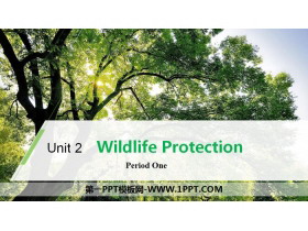 《Wildlife Protection》Period One PPT-第一PPT