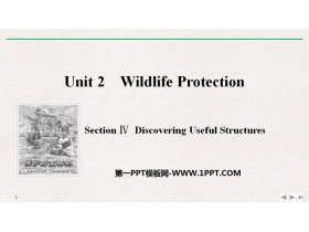 《Wildlife Protection》SectionⅣ PPT课件-第一PPT