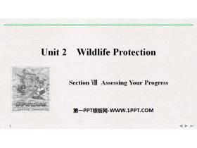 《Wildlife Protection》SectionⅧ PPT课件-第一PPT