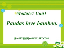 《Pandas love bamboo》PPT课件4-第一PPT