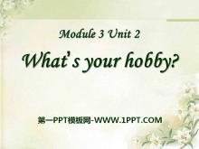 《What’s your hobby》PPT课件2-第一PPT