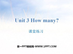《How many?》课堂练习PPT-第一PPT