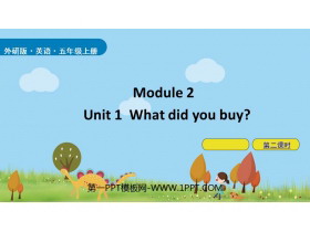 《What did you buy?》PPT课件(第2课时)-第一PPT