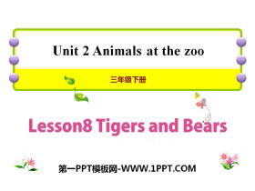 《Tigers and Bears》Animals at the zoo PPT-第一PPT