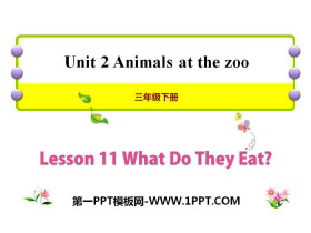 《What Do They Eat?》Animals at the zoo PPT-第一PPT