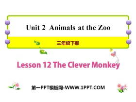 《The Clever Monkey》Animals at the zoo PPT-第一PPT