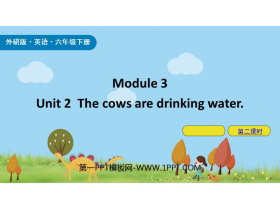 《The cows are drinking water》PPT课件(第2课时)-第一PPT