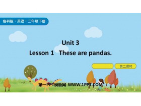 《These are pandas》Animals PPT下载(第2课时)-第一PPT