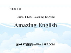 《Amazing English》I Love Learning English PPT课件-第一PPT