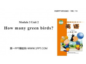 《How many green birds?》PPT教学课件-第一PPT