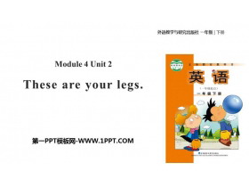 《These are your legs》PPT下载-第一PPT