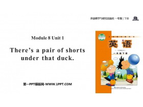 《There’s a pair of shorts under that duck》PPT教学课件-第一PPT