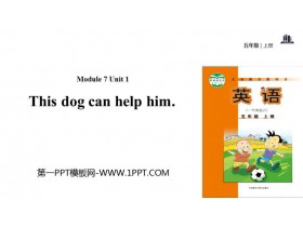 《This dog can help him》PPT教学课件-第一PPT