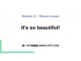 《It’s so beautiful》Western music PPT精品课件-第一PPT