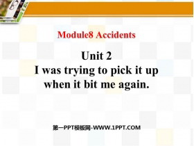 《I was trying to pick it up when it bite me again》Accidents PPT课件下载-第一PPT