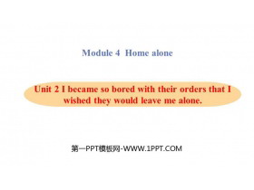 《I became so bored with their orders that I wished they would leave me alone》Home alone PPT教学课件-第一PPT
