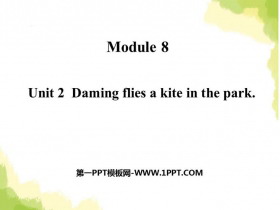 《Daming flies a kite in the park》PPT课件下载-第一PPT