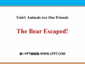 《The Bear Escaped!》Animals Are Our Friends PPT课件-第一PPT