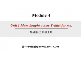 《Mum bought a new T-shirt for me》PPT课件下载-第一PPT