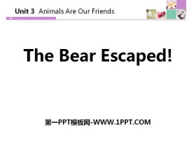 《The Bear Escaped!》Animals Are Our Friends PPT教学课件-第一PPT