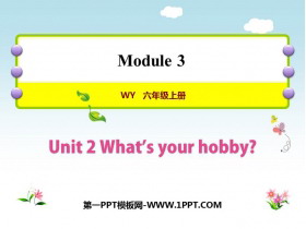 《What’s your hobby?》PPT课件下载-第一PPT