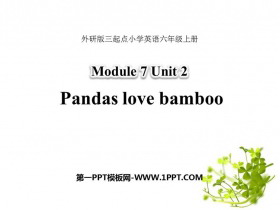 《Pandas love bamboo》PPT精品课件-第一PPT