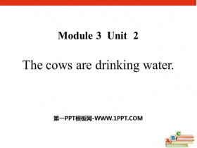 《The cows are drinking water》PPT教学课件-第一PPT