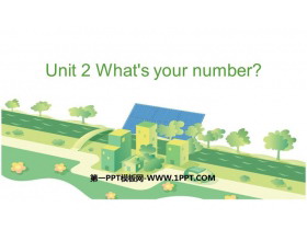 《What's your number?》PPT教学课件-第一PPT