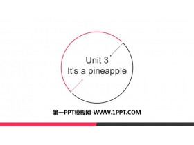 《It’s a pineapple》PPT优质课件-第一PPT