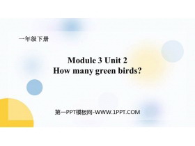 《How many green birds?》PPT课件下载-第一PPT
