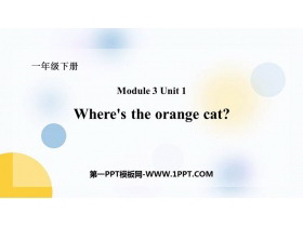 《Where’s the orange cat?》PPT课件下载-第一PPT