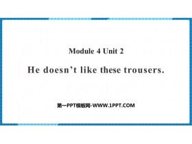 《He doesn’t like these trousers》PPT课件下载-第一PPT