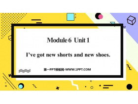 《I’ve got new shorts and new shoes》PPT免费下载-第一PPT