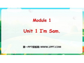 《I’m Sam》PPT优秀课件-第一PPT