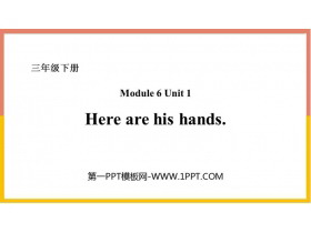 《Here are his hands》PPT免费课件-第一PPT