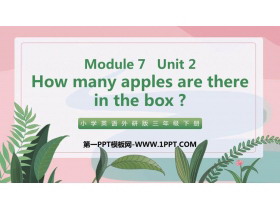 《How many apples are there in the box?》PPT免费课件-第一PPT